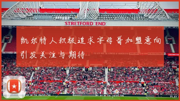 凯尔特人积极追求字母哥加盟意向引发关注与期待